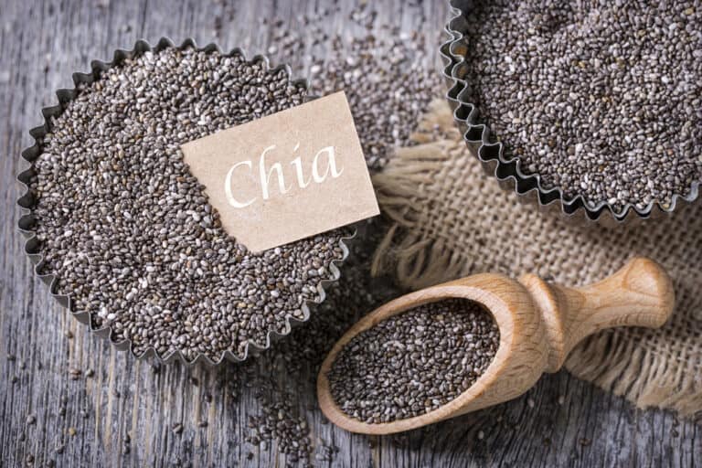 Chia seeds and 10 benefits of the keto diet