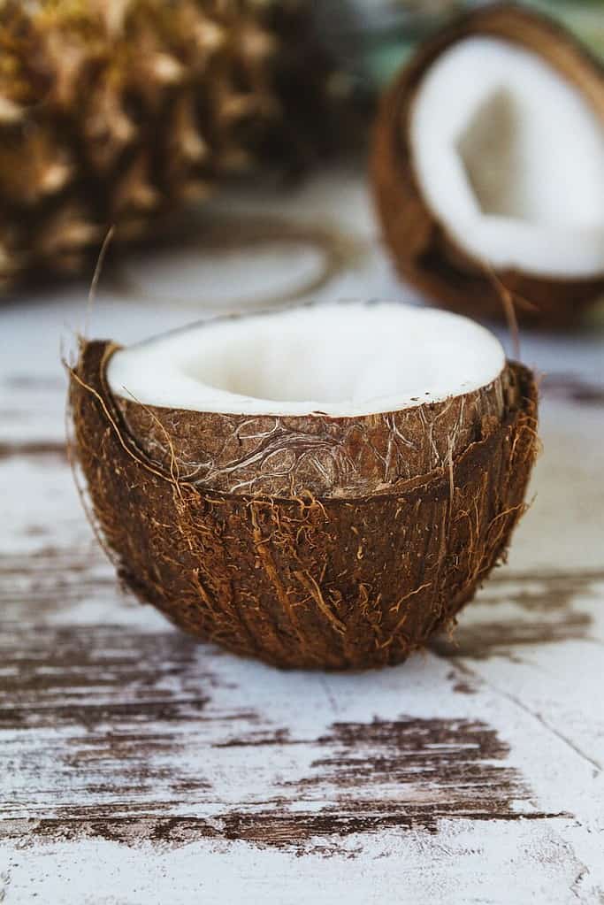 coconut, shell, coconut oil-2592257.jpg